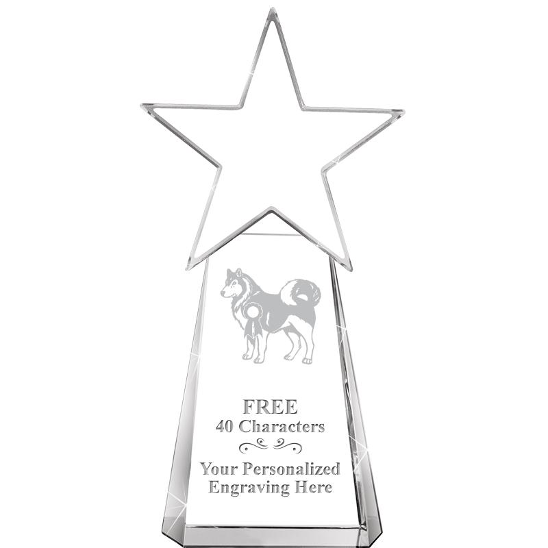 6" CLEAR CRYSTAL DYNOSTAR