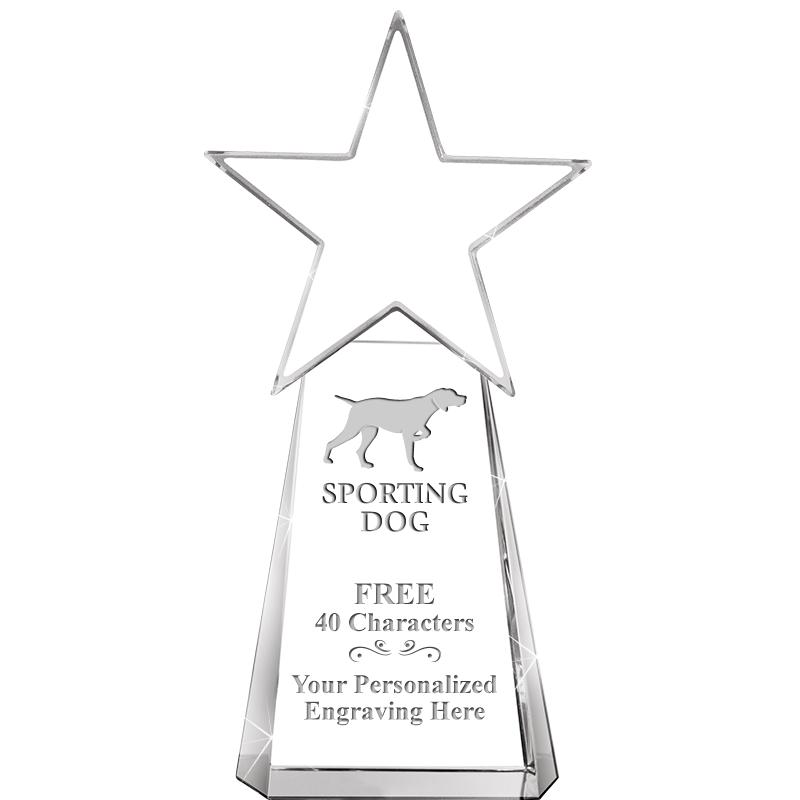 6" CLEAR CRYSTAL DYNOSTAR