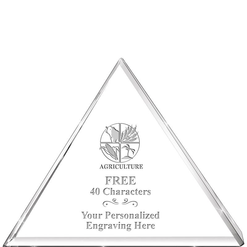 6" TRIAD AWARD