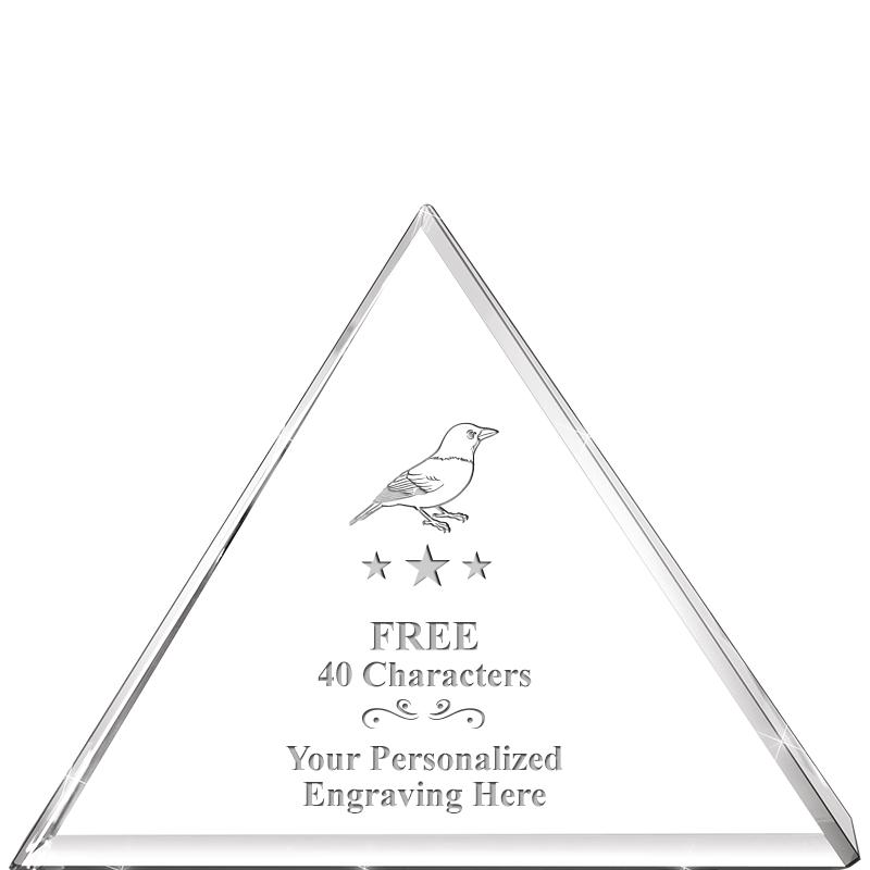 6" TRIAD AWARD