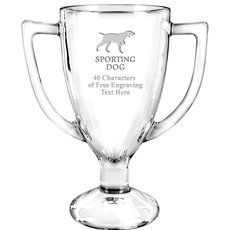 7" WINNER GLASS AWARD