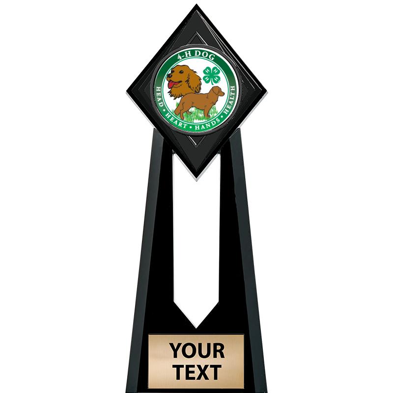 9" PARAGON ONYX INSERT TROPHY