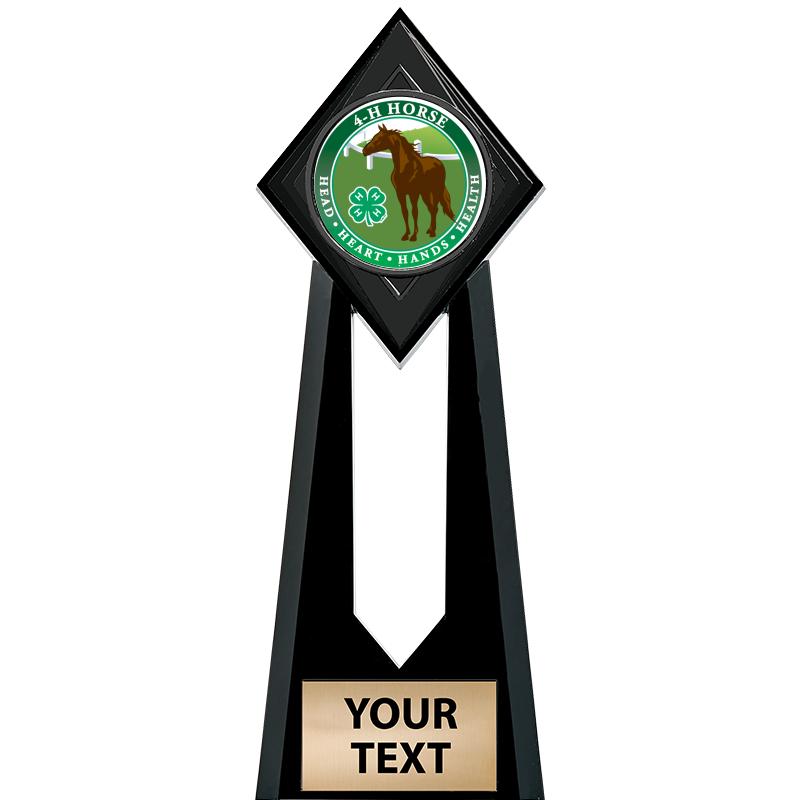 9" PARAGON ONYX INSERT TROPHY