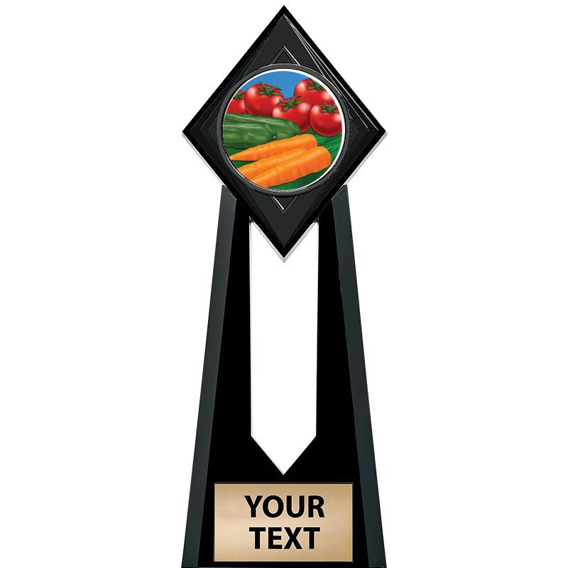 9" PARAGON ONYX INSERT TROPHY