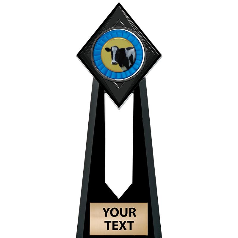 9" PARAGON ONYX INSERT TROPHY