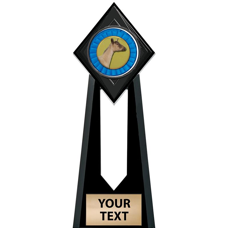 9" PARAGON ONYX INSERT TROPHY