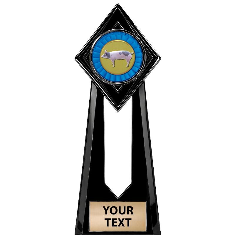 9" PARAGON ONYX INSERT TROPHY