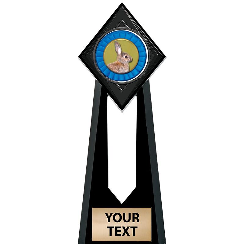 9" PARAGON ONYX INSERT TROPHY