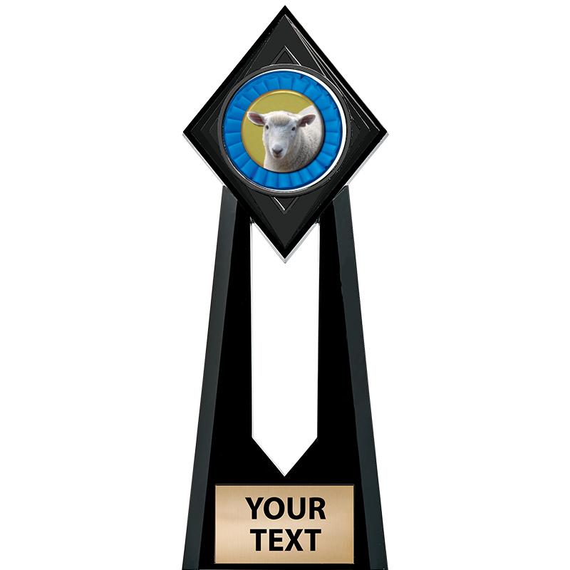 9" PARAGON ONYX INSERT TROPHY