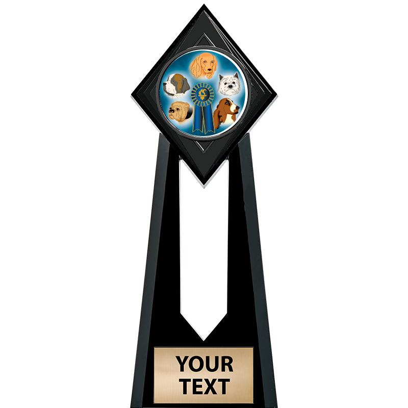 9" PARAGON ONYX INSERT TROPHY