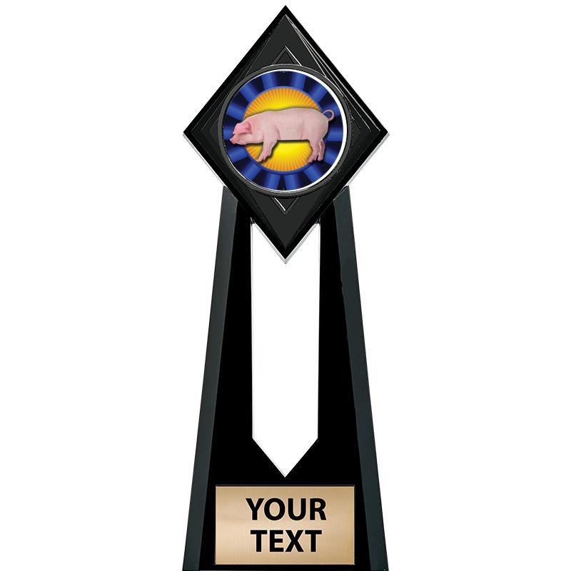 9" PARAGON ONYX INSERT TROPHY