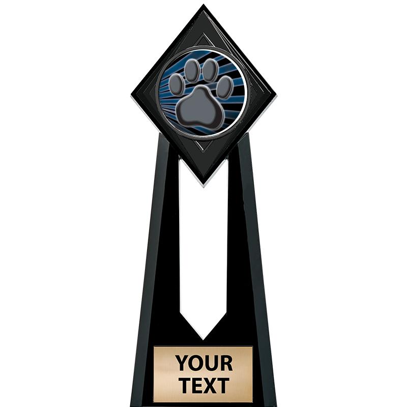 9" PARAGON ONYX INSERT TROPHY