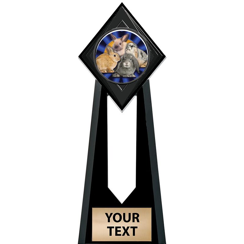 9" PARAGON ONYX INSERT TROPHY
