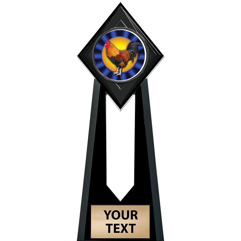 9" PARAGON ONYX INSERT TROPHY