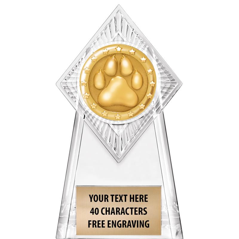 6" PARAGON CLEAR INSERT TROPHY