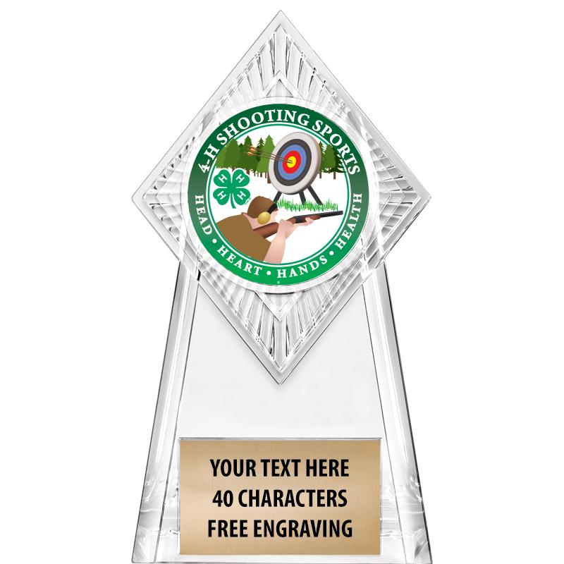 6" PARAGON CLEAR INSERT TROPHY