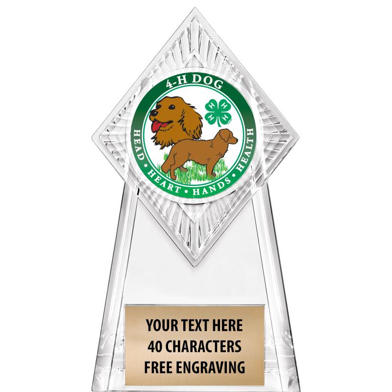 6" PARAGON CLEAR INSERT TROPHY