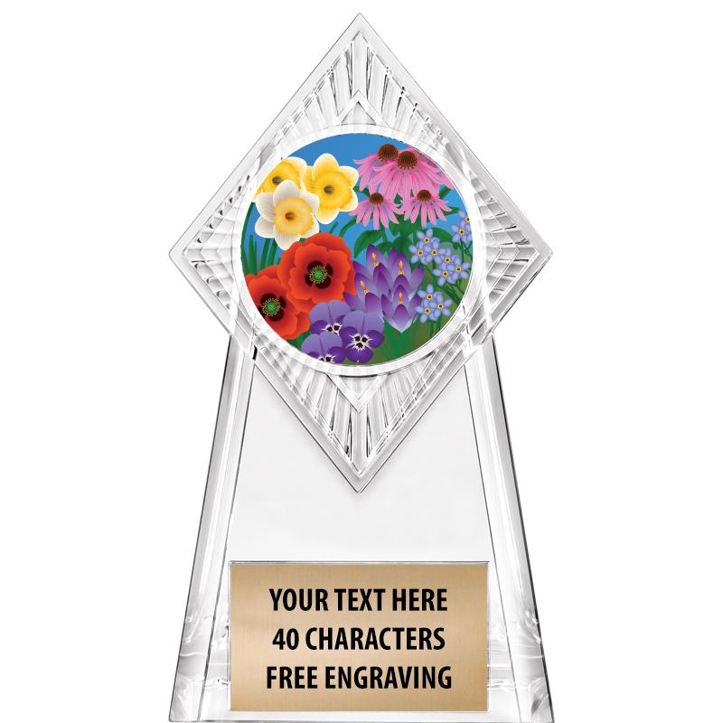 6" PARAGON CLEAR INSERT TROPHY