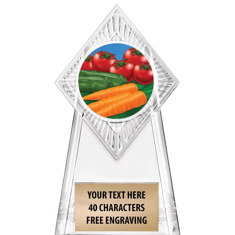 6" PARAGON CLEAR INSERT TROPHY