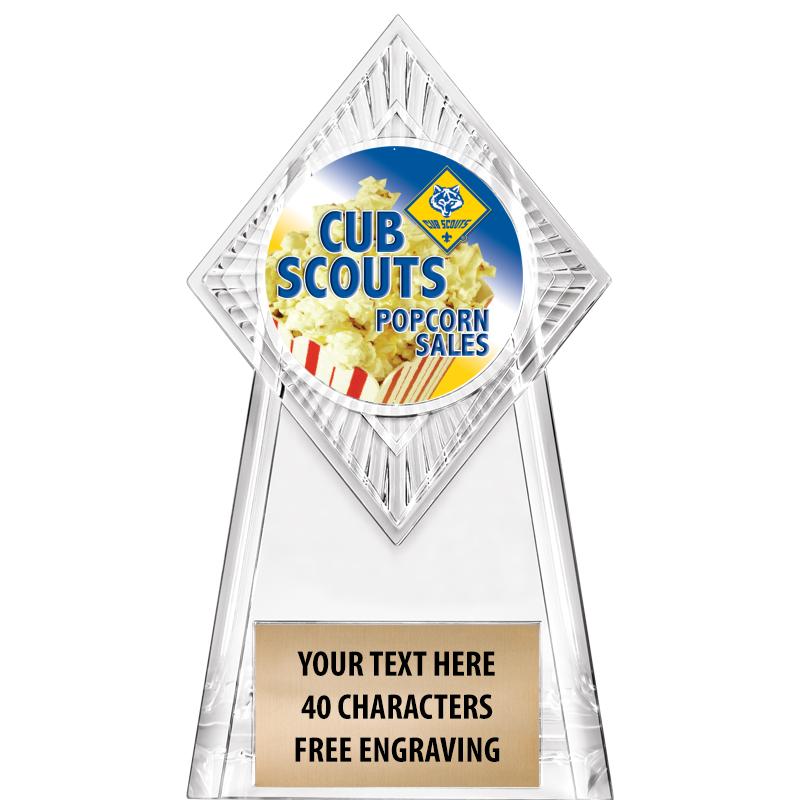 6" PARAGON CLEAR INSERT TROPHY