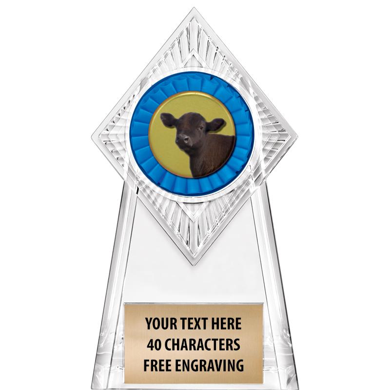6" PARAGON CLEAR INSERT TROPHY