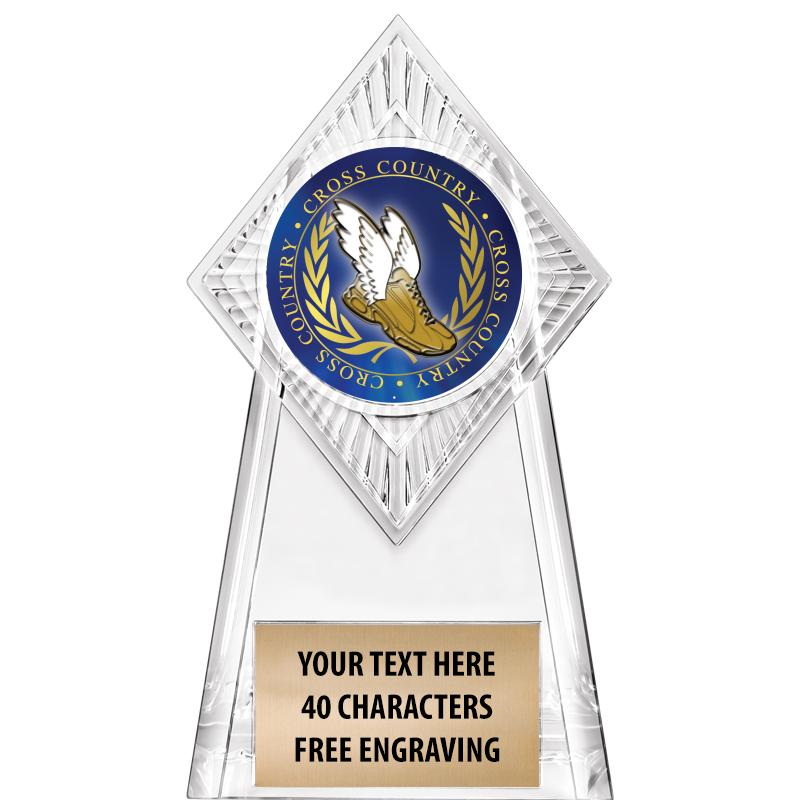 6" PARAGON CLEAR INSERT TROPHY