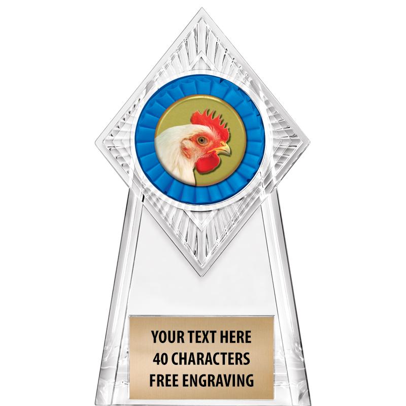 6" PARAGON CLEAR INSERT TROPHY