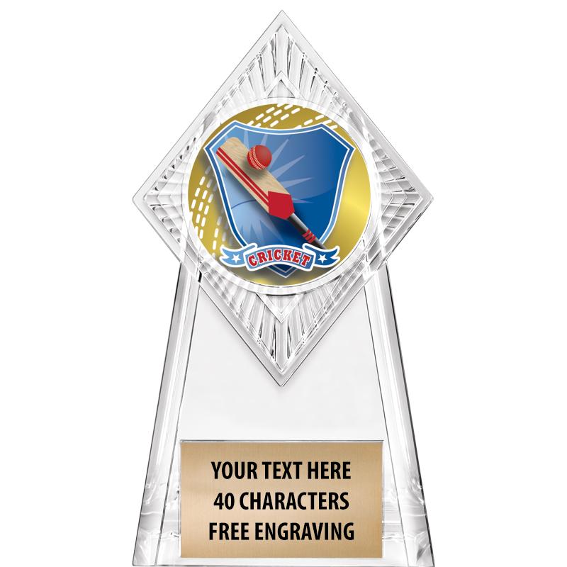 6" PARAGON CLEAR INSERT TROPHY