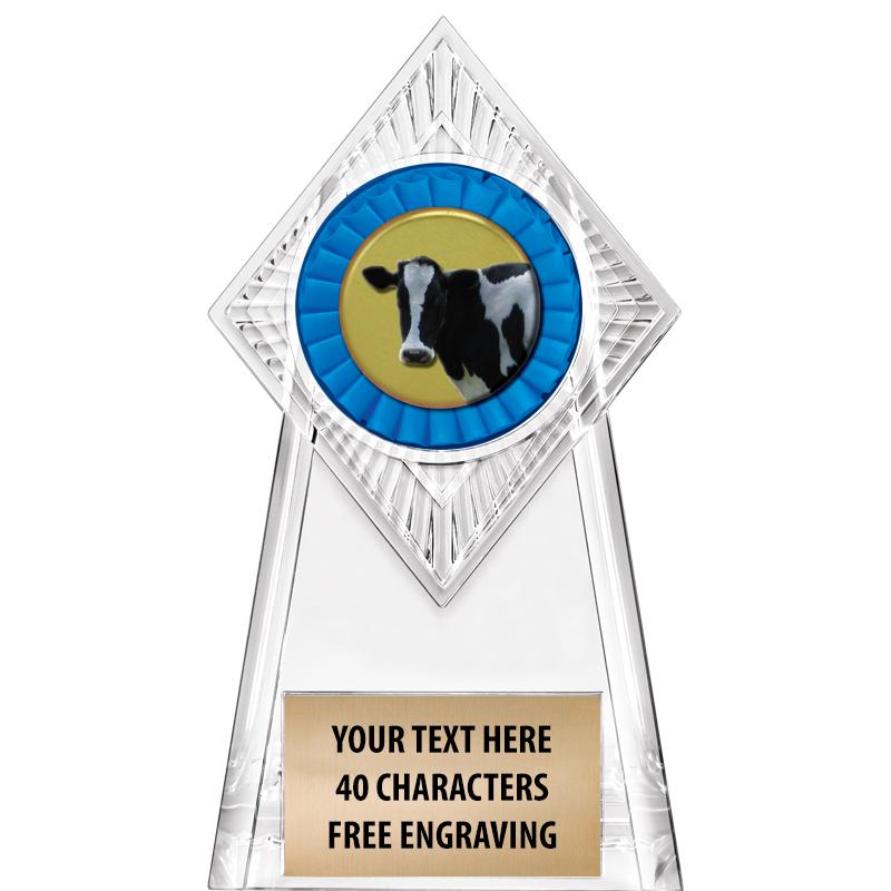6" PARAGON CLEAR INSERT TROPHY