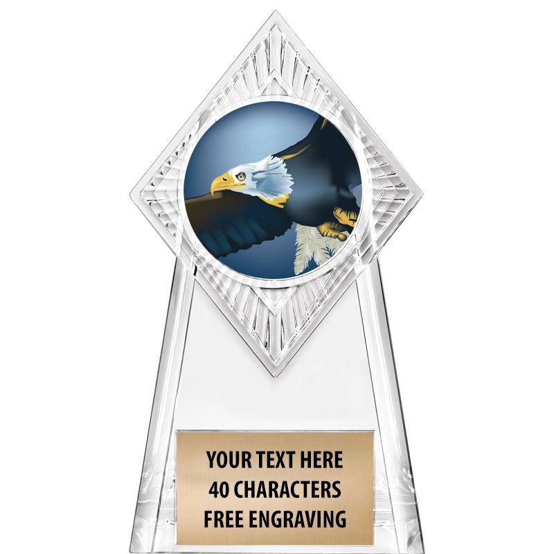 6" PARAGON CLEAR INSERT TROPHY