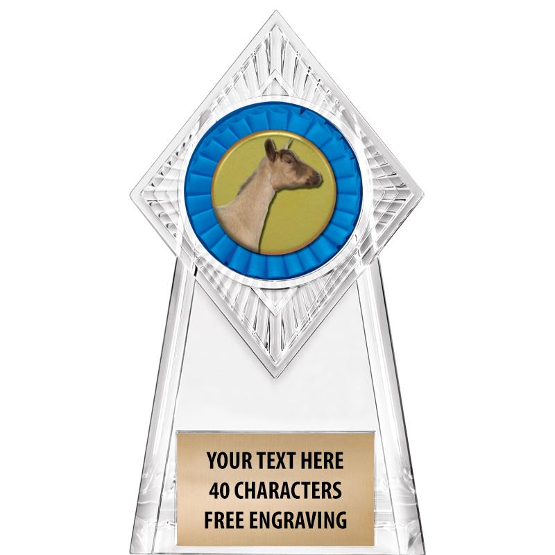 6" PARAGON CLEAR INSERT TROPHY