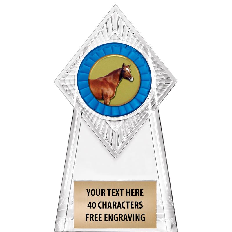 6" PARAGON CLEAR INSERT TROPHY