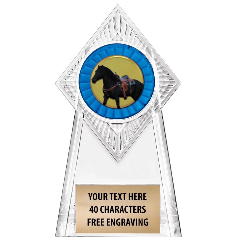 6" PARAGON CLEAR INSERT TROPHY