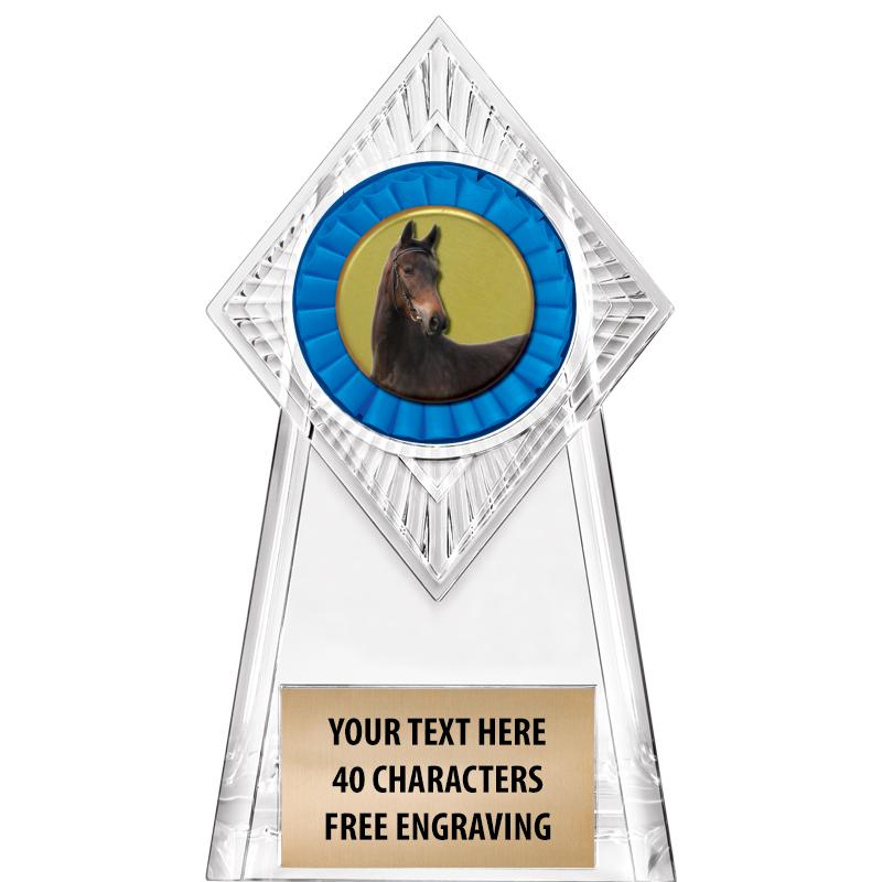 6" PARAGON CLEAR INSERT TROPHY