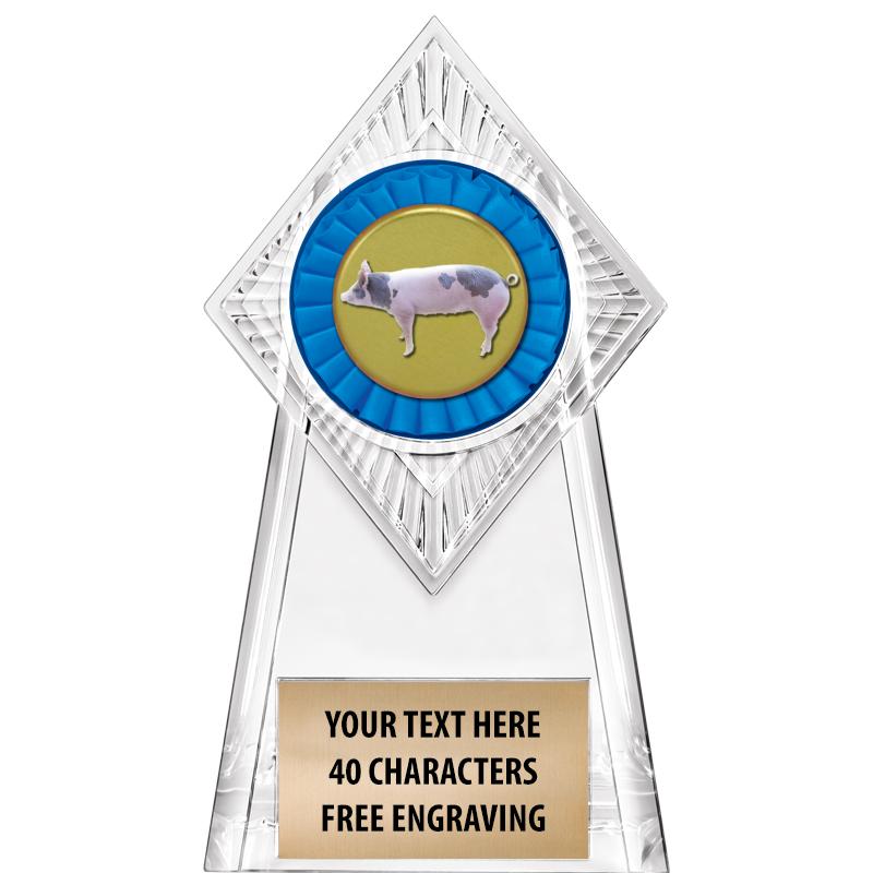 6" PARAGON CLEAR INSERT TROPHY