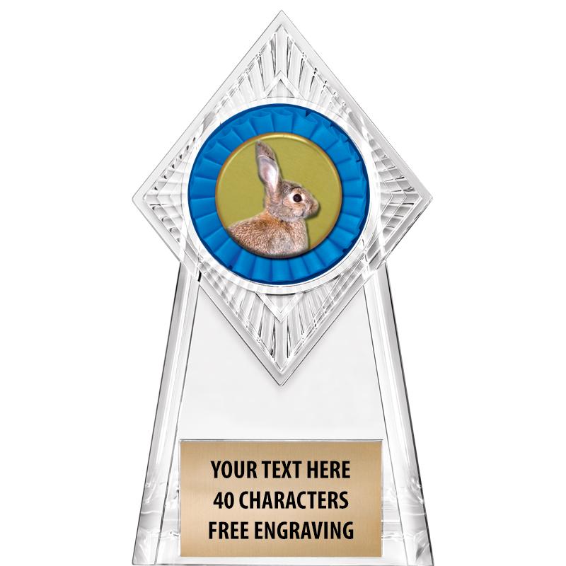 6" PARAGON CLEAR INSERT TROPHY