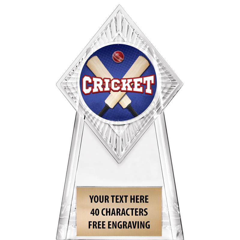 6" PARAGON CLEAR INSERT TROPHY