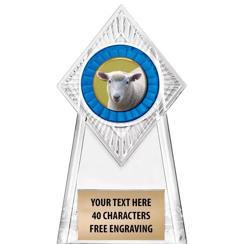 6" PARAGON CLEAR INSERT TROPHY