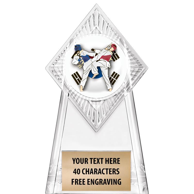 6" PARAGON CLEAR INSERT TROPHY