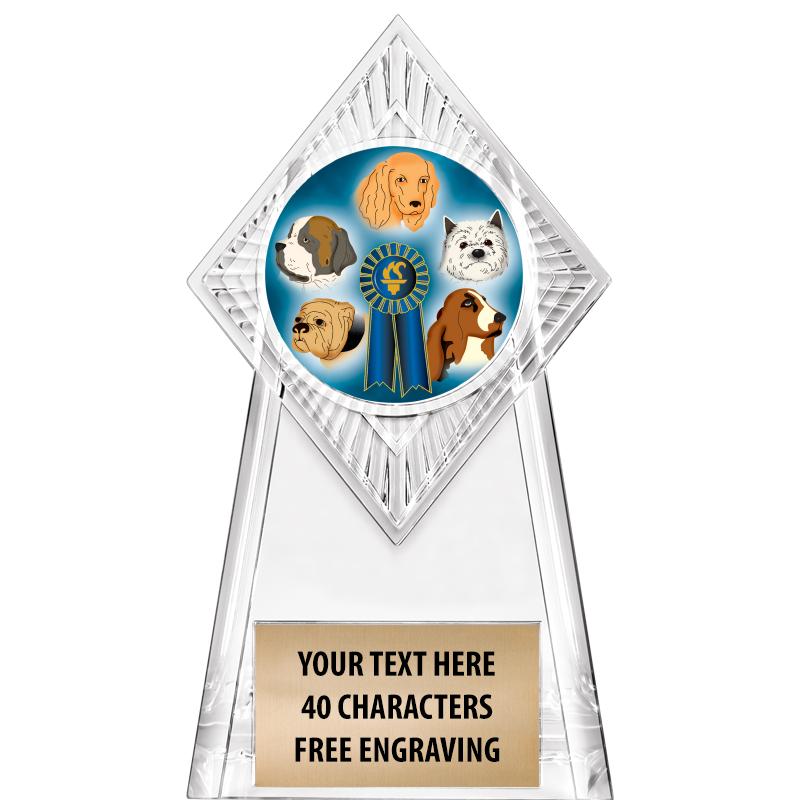 6" PARAGON CLEAR INSERT TROPHY