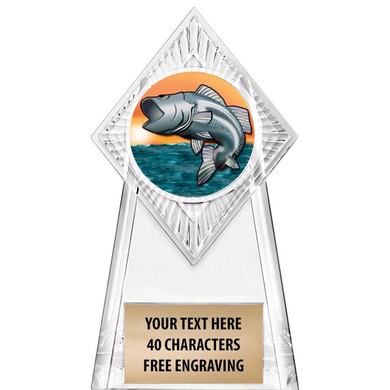 6" PARAGON CLEAR INSERT TROPHY