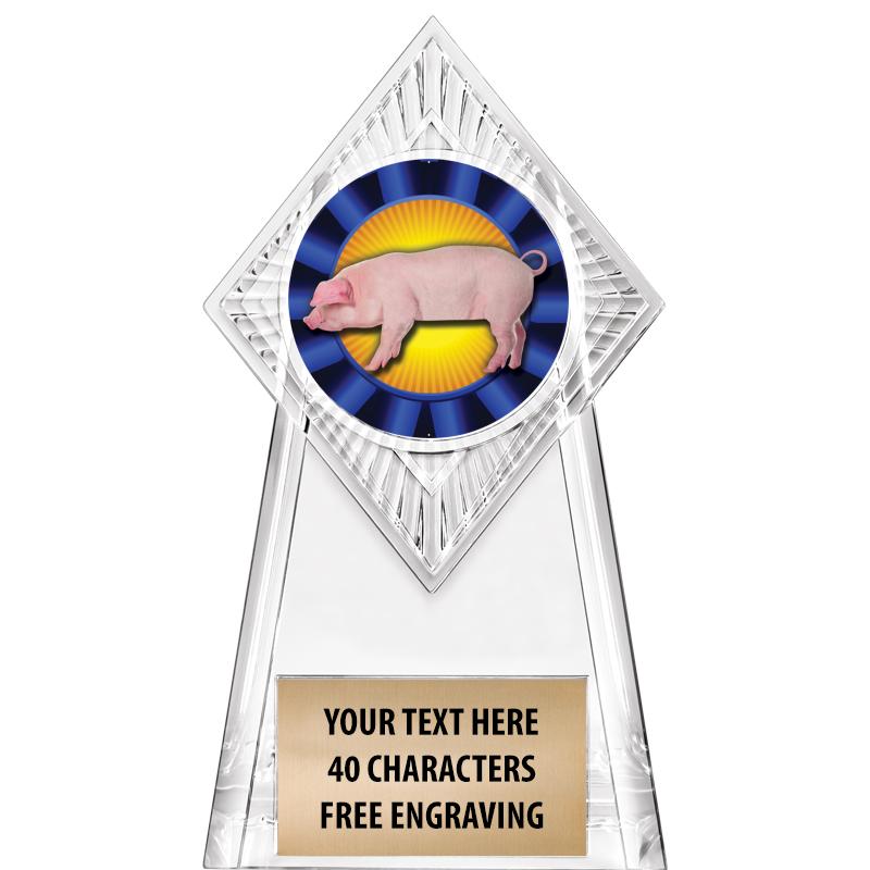 6" PARAGON CLEAR INSERT TROPHY