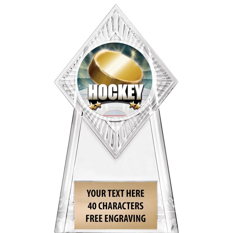 6" PARAGON CLEAR INSERT TROPHY