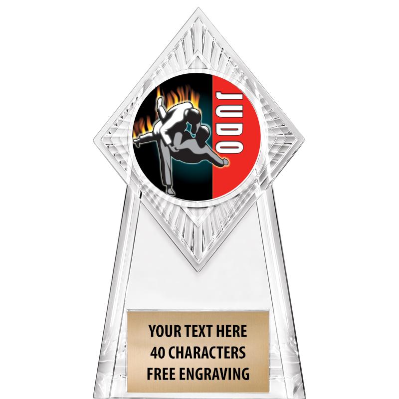 6" PARAGON CLEAR INSERT TROPHY