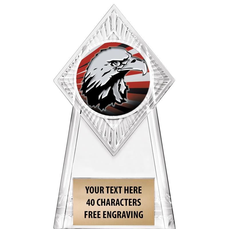 6" PARAGON CLEAR INSERT TROPHY