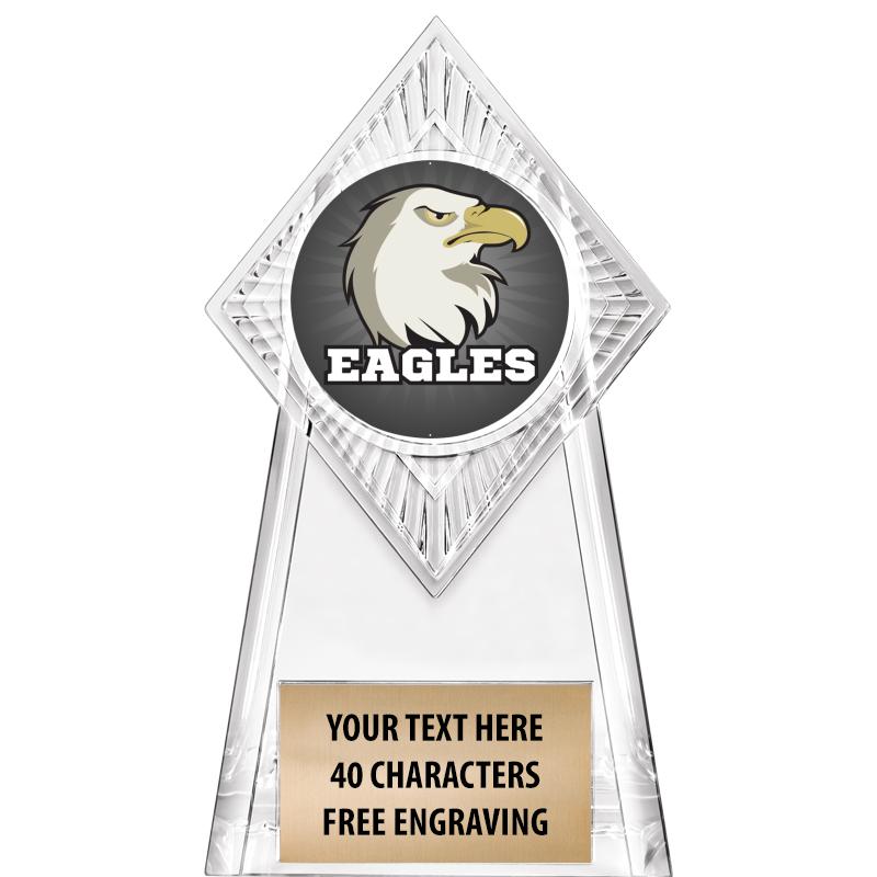6" PARAGON CLEAR INSERT TROPHY