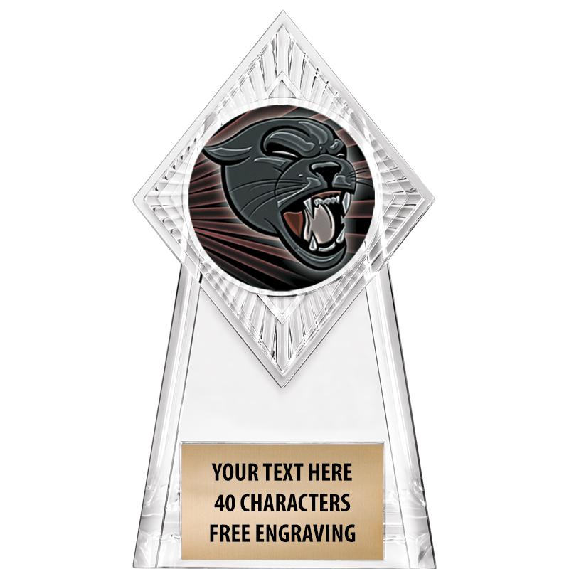 6" PARAGON CLEAR INSERT TROPHY