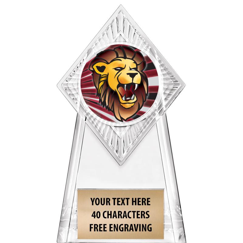 6" PARAGON CLEAR INSERT TROPHY