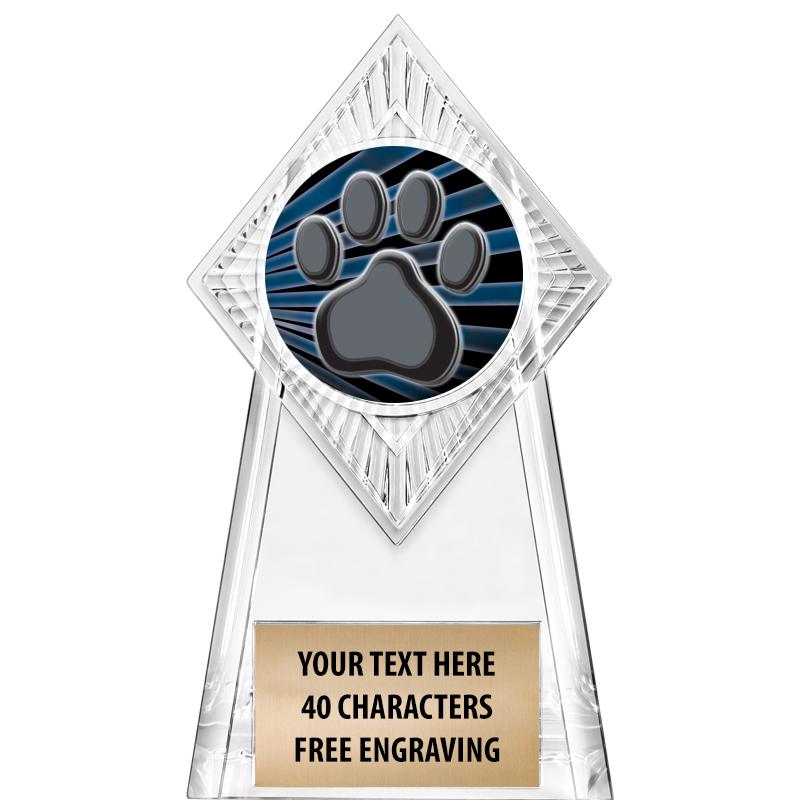 6" PARAGON CLEAR INSERT TROPHY