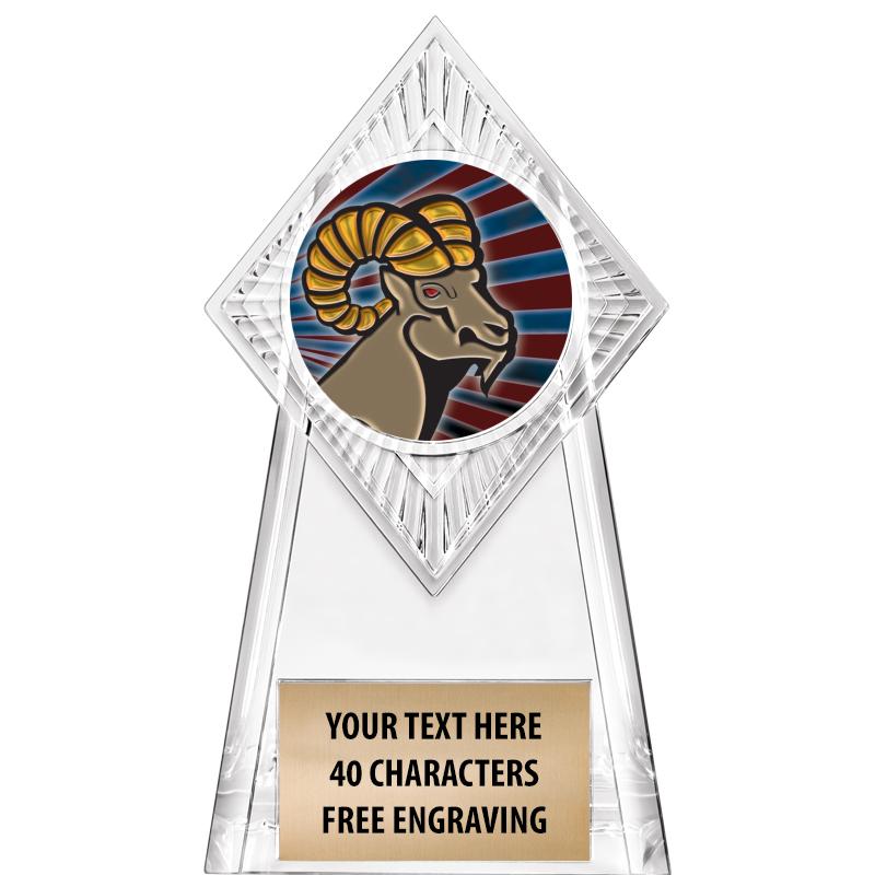 6" PARAGON CLEAR INSERT TROPHY